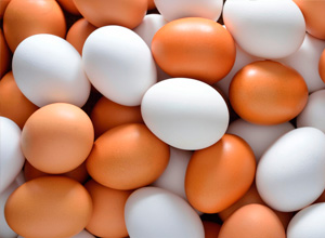 Alergia a proteinas de huevo