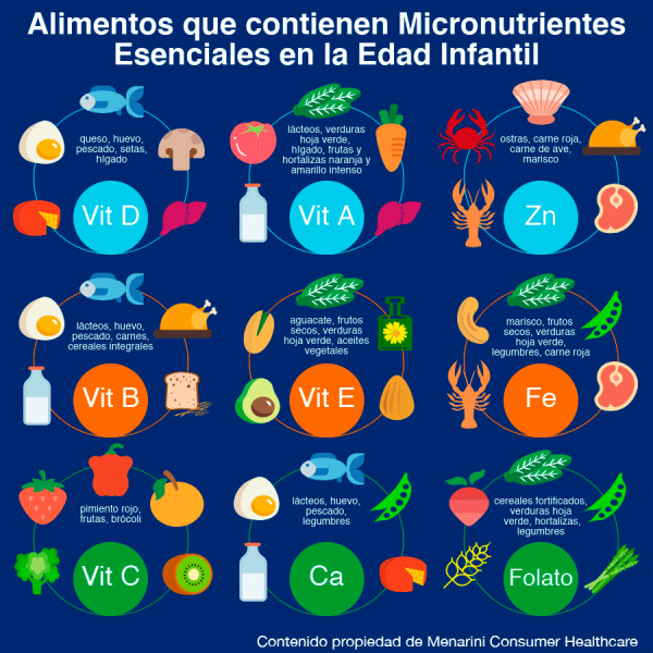 Alimentos que contienen Micronutrientes esenciales en la Edad Infantil
