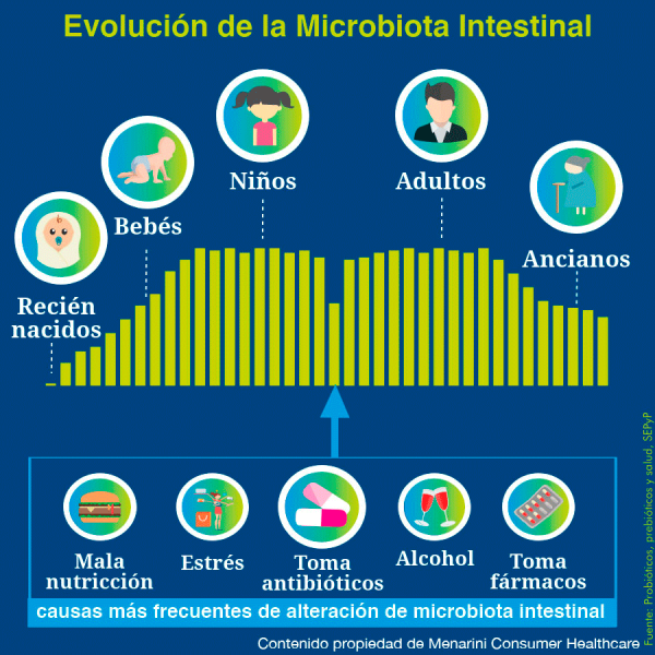 Evolución de la Microbiota Intestinal